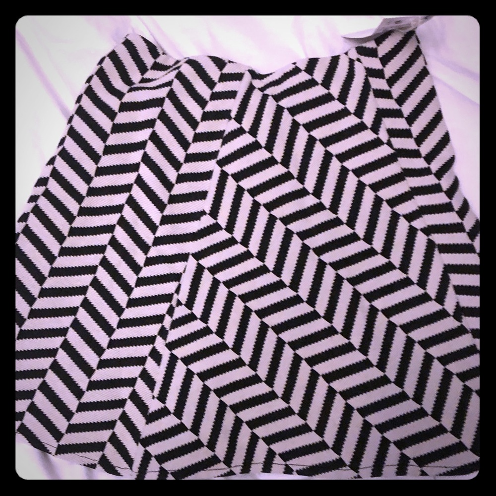 Zara skirt new with tag